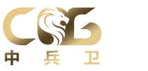 成都中兵衛(wèi)保安服務(wù)有限公司